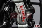  Cặp Heo Brembo M50 - 100mm 