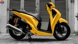  Pô 4Road 2011 Carbon Line cho SH150i / SH125i 