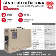 Bình lưu điện TORA B400 cho cửa cuốn tải Motor 400Kg