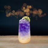  Soda Hoa Đậu Biếc 