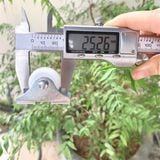  Bánh xe tủ một chiều phi 25mm (Cái) 