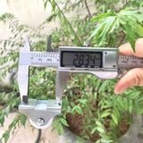  Bánh xe tủ một chiều phi 25mm (Cái) 