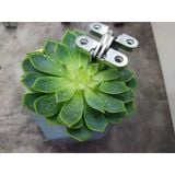  Bản lề chữ thập hợp kim 