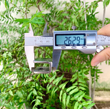  Kẹp kính đơn chữ U 3cm, 6cm inox 304 (Cái) 