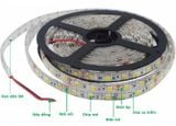  Đèn LED dây dán Philips cuộn 5m 12.5W 24V 