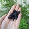 Bulong đầu trụ thép đen, nhiều kích thước (con)