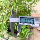  Kẹp kính đơn chữ U 3cm, 6cm inox 304 (Cái) 