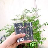  Bản lề âm dương SUS 304 nhiều kích thước (cặp) 