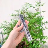  Chốt âm cửa gỗ nhiều kích thước 