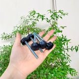  Tăng chỉnh nhựa, núm vặn nhựa 6 cánh kích thước M6 (Con) 