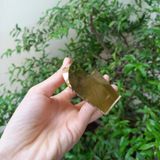  Tay nắm nhôm dạng chữ L màu vàng xước bóng đẹp (cái) 