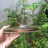  Mâm xoay ghế bảy màu 158x158x2.3mm, xoay 360 độ, 2 vòng bi (cái) 