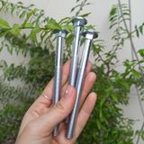  Bulong đầu trụ cổ vuông (Con) 