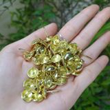 Đinh dù trang trí màu vàng sáng 11mm, 16mm (Bịch 1.000c) 