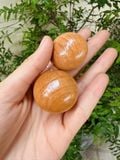  Núm tủ gỗ phi 33mm, cao 25mm sơn bóng (Cái) 