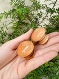  Núm tủ gỗ phi 33mm, cao 25mm sơn bóng (Cái) 