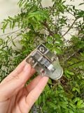  Khoá trang trí mỏ vịt cho hộp gỗ - KTT4062 (cái) 