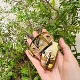  Bộ khoá ON-OFF xi mạ bảy màu (Bộ) 