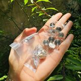  Nắp chụp vít phi 12mm (bộ) 