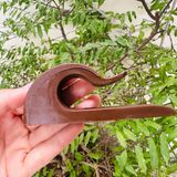  Móc nhựa cây đàn 3 lỗ màu nâu 103mm (Cái) 