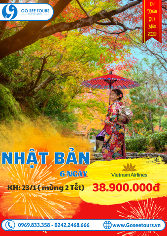 TOUR NHẬT BẢN TOKYO - NÚI PHÚ SỸ - HỒ KAWAGUCHI - KYOTO - 6N5Đ
