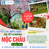 ĂN TẾT H'MÔNG MỘC CHÂU - 2N1Đ