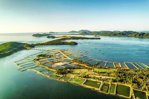 HN- TUY HOA - DAI LANH LIGHTHOUSE - VUNG RO BAY - GHANH DA DIA - O LOAN LAGOON - MANG LANG CHURCH - NHAN TOWER - HN- 4N3D