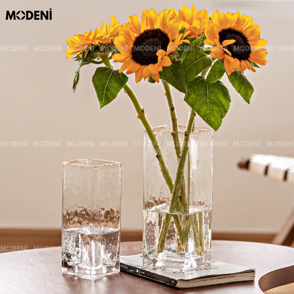 Bình Hoa Thủy Tinh Gleam Cube Cao Cấp – Hình Trụ Vuông Trong Suốt – Viền Vàng Sang Trọng Dành Cho Bàn Console