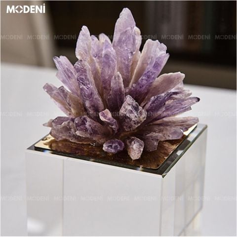 San hô thạch anh tím trên kệ sách – vật phẩm decor độc đáo