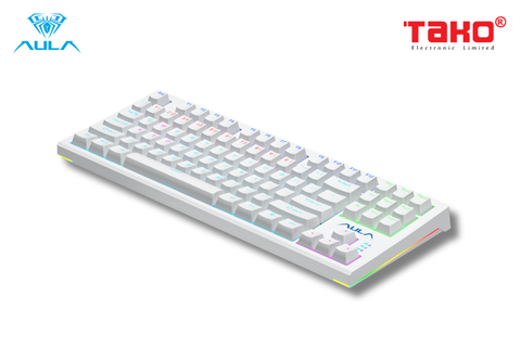  BÀN PHÍM CƠ GAMING CÓ DÂY AULA F3032 (Phiên bản màu trắng/red switch) 