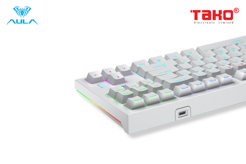  BÀN PHÍM CƠ GAMING CÓ DÂY AULA F3032 (Phiên bản màu trắng/red switch) 