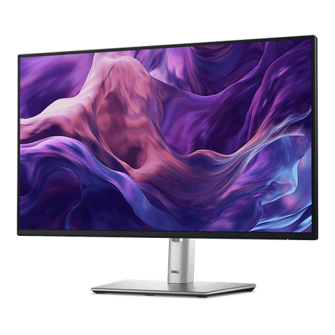  Màn hình Dell P2425H | 23.8 inch Full HD IPS 100Hz phẳng 