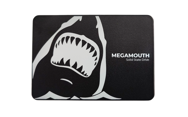  Ổ cứng SSD SSTC Megamouth 256GB MM-110 Sata III 2.5inch SSTC-MM110-25 