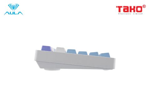  BÀN PHÍM CƠ GAMING CÓ DÂY LEOBOG Hi75 (Phiên bản xanh dương + trắng + tím/Grey wood V3 switch) 