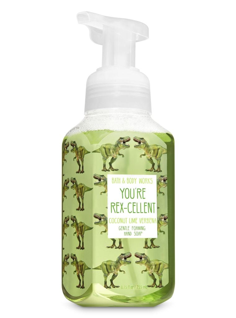Nước rửa tay tạo bọt Bath & Body Works Gentle Foaming Hand Soap 259mL