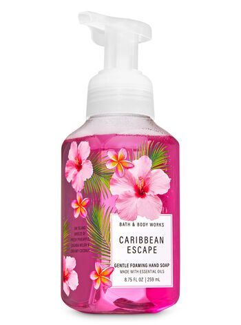 Nước rửa tay tạo bọt Bath & Body Works Gentle Foaming Hand Soap 259mL