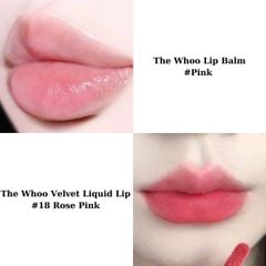 SET quà Son WHOO ( son dưỡng + son kem )