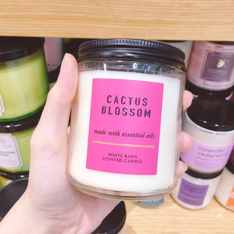 Nến thơm 1 bấc Bath & Body Works Cactus Blossom 198g