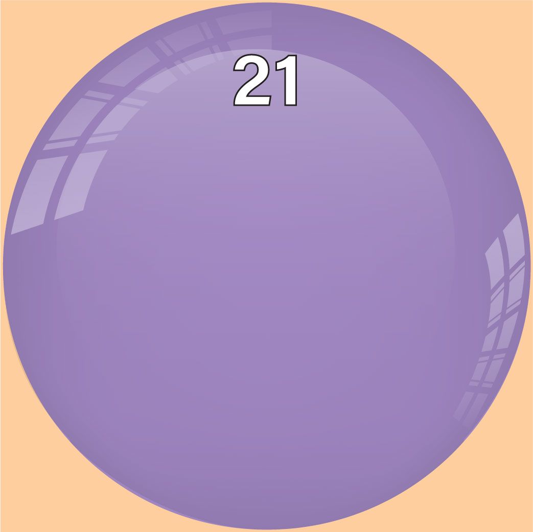  Bột Bản Thường 