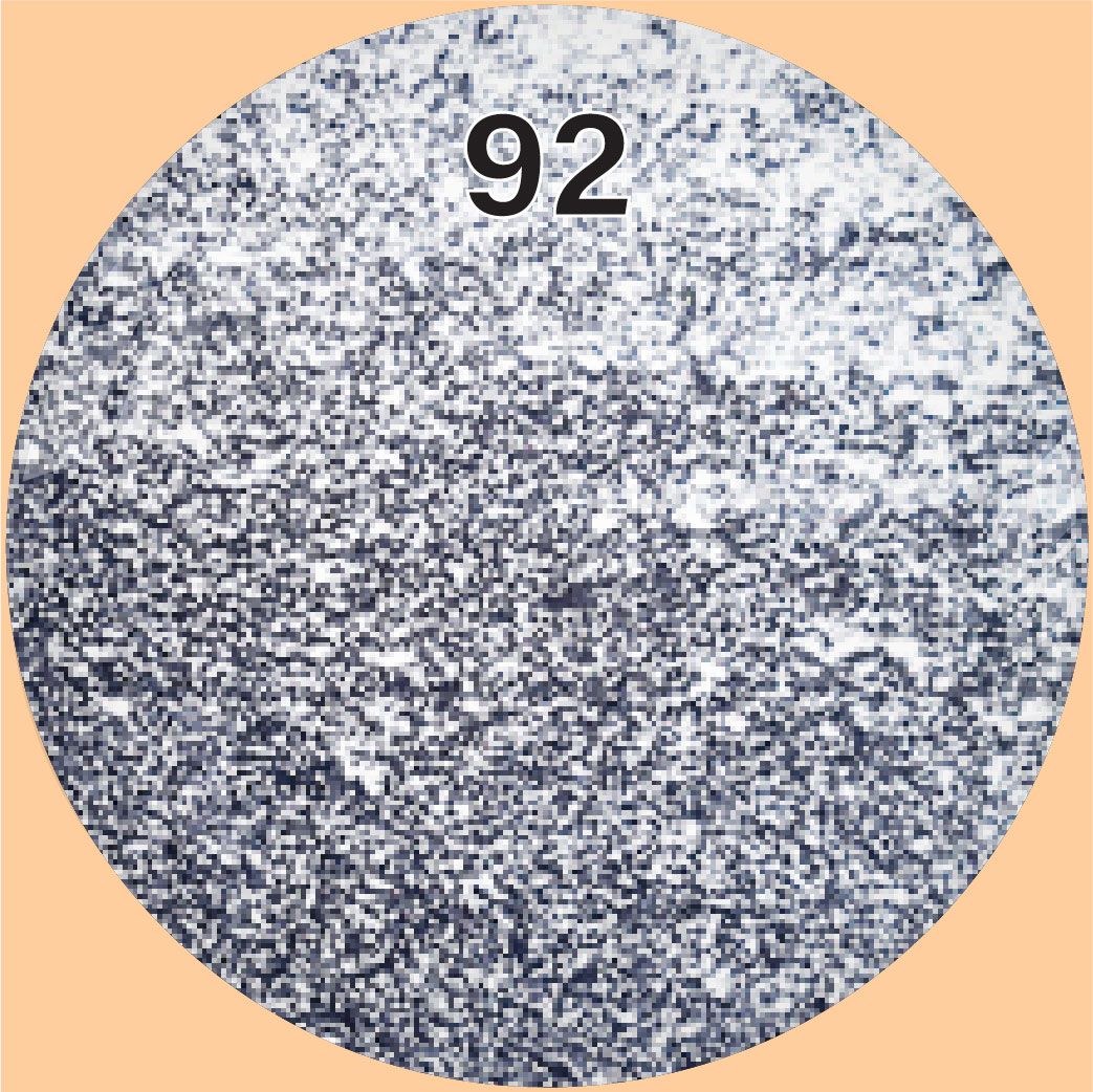  Sơn Gel Coco (Diami) 