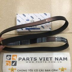 DÂY CUROA TỔNG 6PK1306 FORD FOCUS MÁY 2.0 ĐỜI 2010 AM55-6C301-AA, AM556C301AA