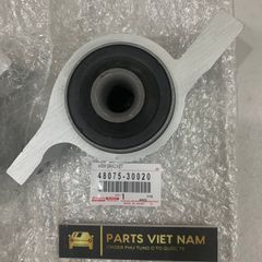 Cao su đuôi càng A Lexus IS250, IS300, GS300, GS450H 4807530040, 4807530050, 4807553010 RH, 4807630040, 4807630050, 4807653010 LH