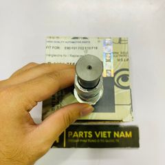 Tăng xích cam thủy lực BMW N52 E60, E61 525i, 520i, 528i, 530i, E70 X5, E71 X6, E82 128i,  E83 X3, E84 X1, E90, E91, E92, E93 320i, 325i, 328i. Hàng Bmtsr. Mã 11317584723