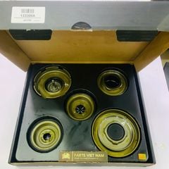Bộ piston nồi áp hộp số tự động 4 cấp Ford Focus, Laser 1.8, Mazda 2, Mazda 3, Mazda 6  đời 2001 - 2009. Hàng Transpeed. Mã 133300A, 4F27E, FN4A-EL