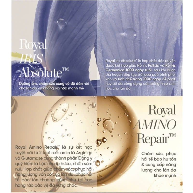 Nước Thần Phục Hồi Năng Lượng Làn Da Whoo Royal Regina Energy Drop Treatment Mini 20ml