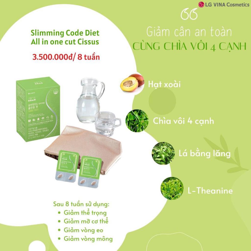 Thực Phẩm Hỗ Trợ Giảm Cân SHJW Slimming Code Diet All - In - One Cut Cissus