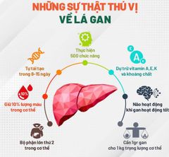 Thuốc Bổ Gan Gangibo Của Tập Đoàn LG Hàn Quốc 90 viên
