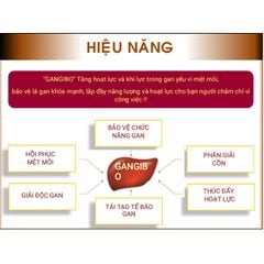 Viên Uống Giải Độc Gan và Bảo Vệ Chức Năng SHJW Gan Gangibo