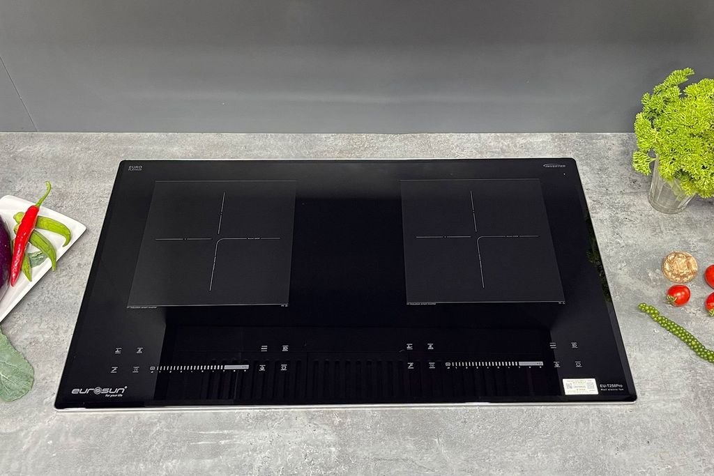 Bếp từ đôi Eurosun EU - T258Pro