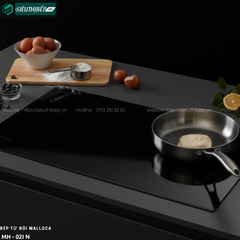 Bếp từ đôi Malloca MH - 02I N (Kính đen chấm bi chìm)